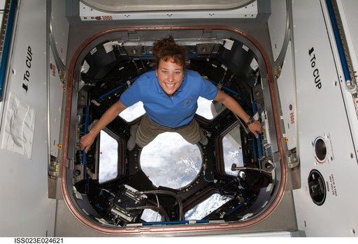 Metcalf-Lindenburger in the Cupola