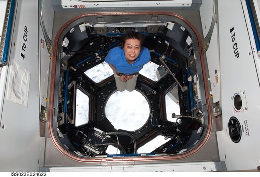 Yamazaki in the Cupola