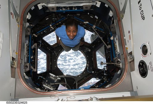 Wilson in the Cupola