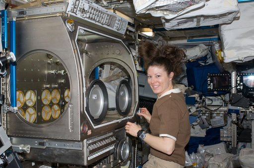 Dyson works with IVGEN Experiment Payload in Columbus MSG