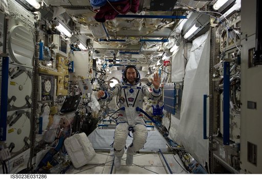 Noguchi prepares for Sokol Suit Leak Check