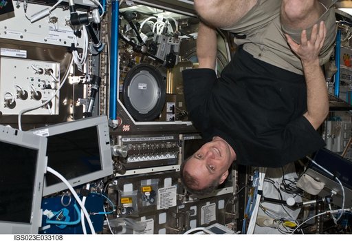 Creamer works with IVGEN Experiment Payload in Columbus MSG