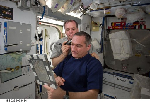 Creamer gives Skvortsov a Haircut in Node 2