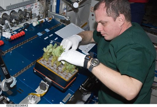 Creamer closes out APEX-CSA2 Experiment