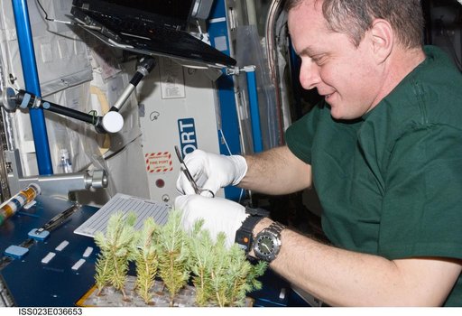 Creamer closes out APEX-CSA2 Experiment