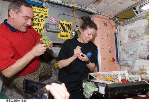 Skvortsov and Dyson with Fruit and Vegetables in Node 1