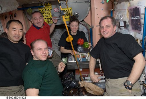 Expedition 23 Crewmembers with Fruit and Vegetables in Node 1