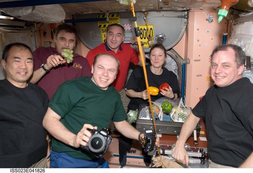 Expedition 23 Crewmembers with Fruit and Vegetables in Node 1