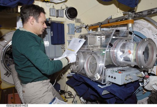 Kornienko conducts BTKh-26/Kaskad (Cascade) Experiment