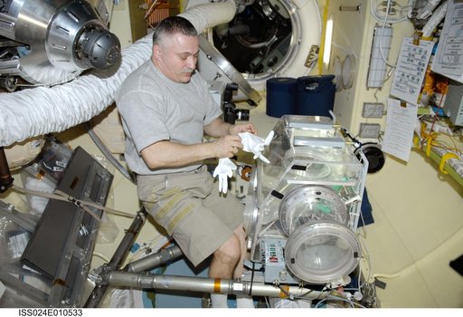 ASEPTIC (BTKh-39) Experiment