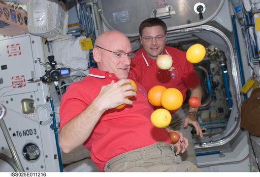 Kelly in Node 1 with fruit