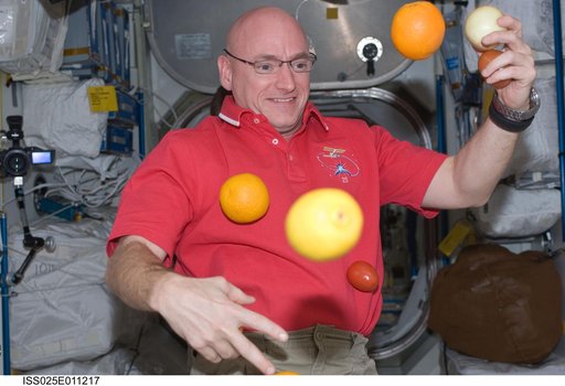 Kelly in Node 1 with fruit