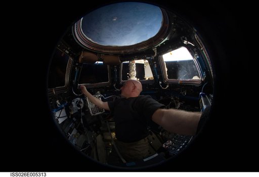 Kelly in the Cupola Module during Expedition 26