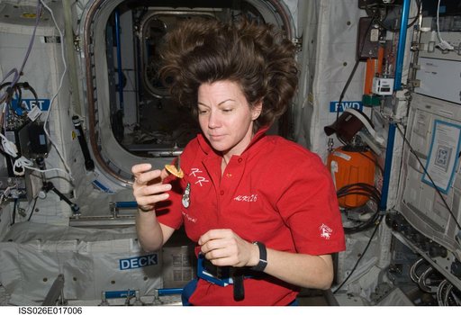 Coleman in the Columbus Module during Expedition 26