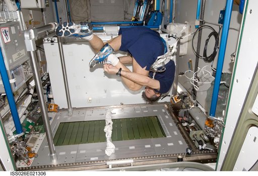 Nespoli prepares to exercise on the COLBERT.