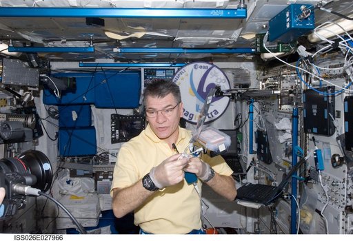 Nespoli works with Arabidopsis Seeds in the Columbus Module