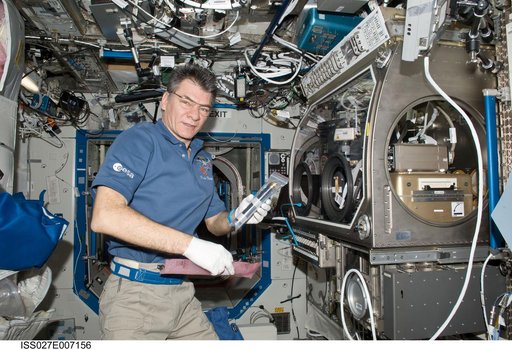 Nespoli works with BXF Hardware in the US Lab