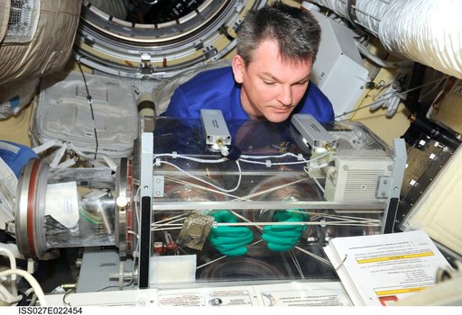 Alexander Samokutyaev conducts BTKh-14/Bioemulsiya (Bioemulsion) Experiment
