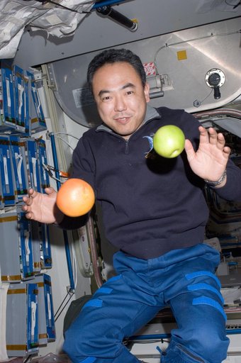 View of FE Furukawa posing for a photo with Fruit
