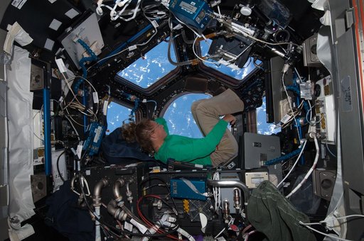 STS-135 MS Magnus in the Cupola