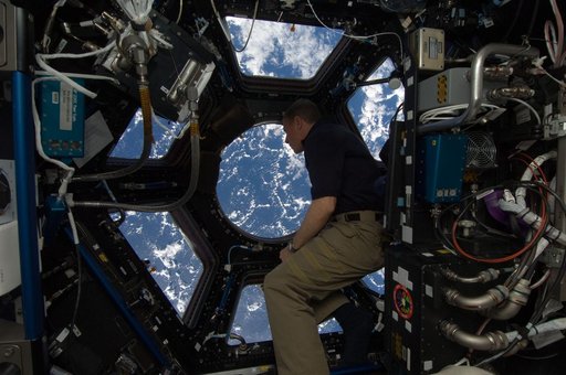 Fossum at Cupola windows