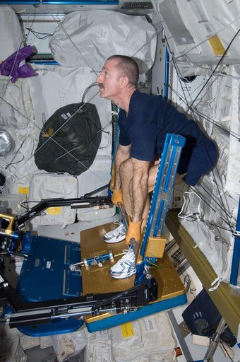 Burbank exercises on the ARED in the Node 3