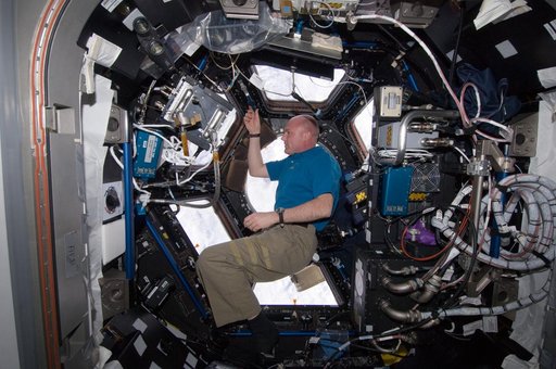 Kuipers looks out window in the Cupola Module