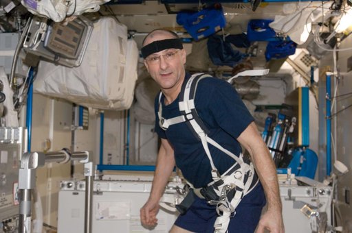 Pettit prepares to exercise on the COLBERT in the Node 3
