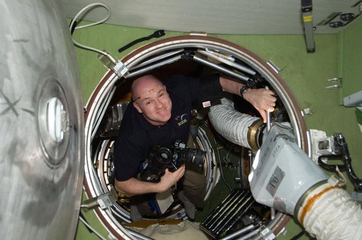 Kuipers in the hatch area