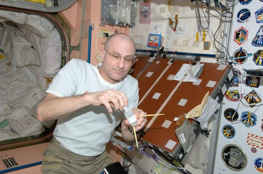 Pettit in Node 1