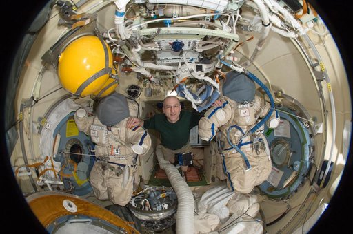 Pettit in Fisheye View of DC1