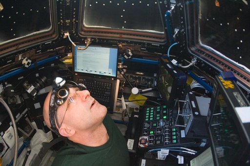 Pettit monitors Dragon Flyunder Operations from the Cupola