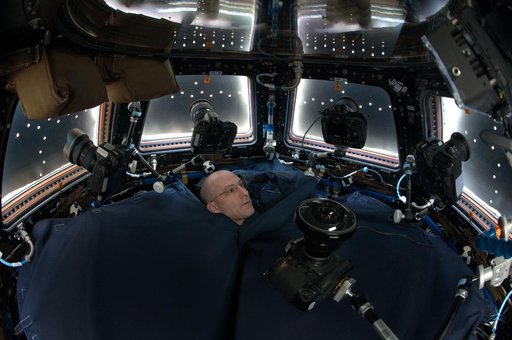 Pettit with Cameras in the Cupola