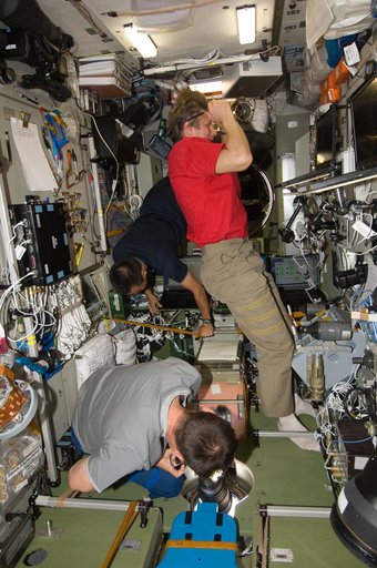 Expedition 32 Crew Members work in the SM