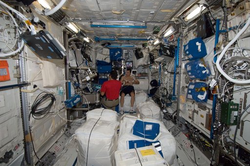 Expedition 32 Crew Members Perform ICV Resting Echo Scan