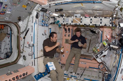 Expedition 32 crew in Node 1