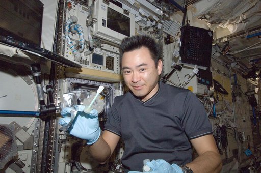 iss033e012541