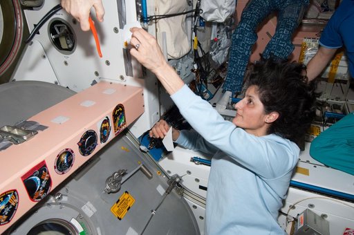 Williams adds patch to collection in Node 1