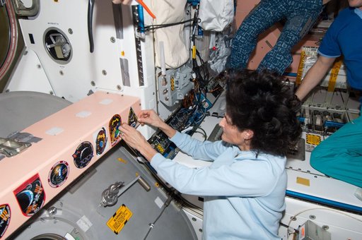 Williams adds patch to collection in Node 1