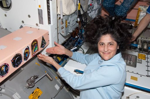 Williams adds patch to collection in Node 1