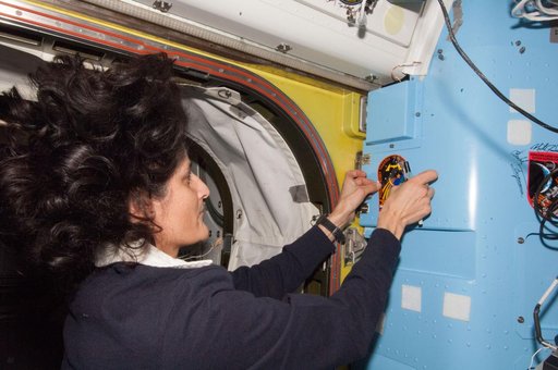 Williams in Airlock