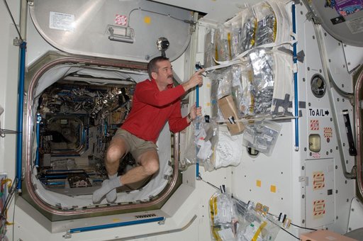 Hadfield poses with stowed food packets