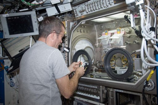 Hadfield works with the InSPACE expeirment