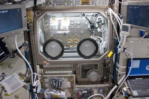 InSPACE Experiment