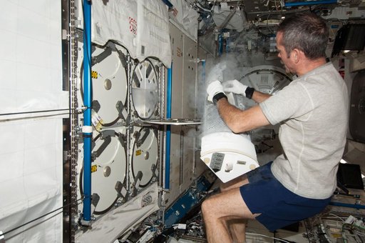 Hadfield prepares to insert biological samples in the MELFI-1