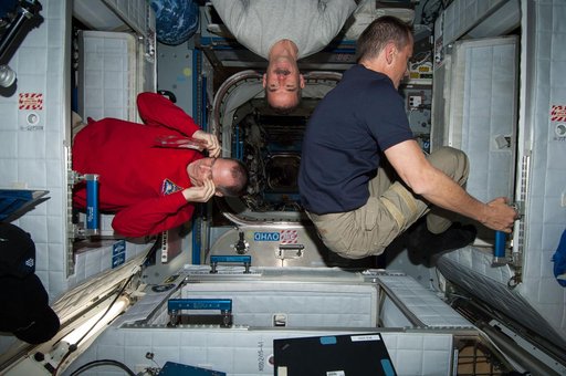 Ford, Marshburn, and Hadfield in the Node 2