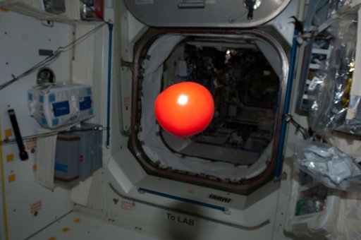 Tomato Floating in Module