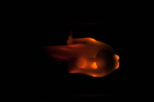 BASS Experiment Imagery
