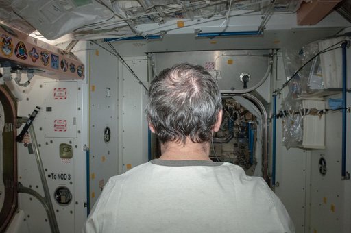 Hadfield before a Haircut in Node 1
