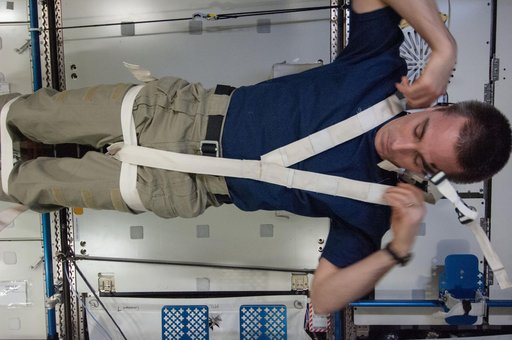 Crew Medical Restraint System Inspection
